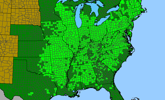 The range of Rosa carolina